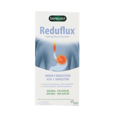 BENEGAST REDUFLUX LIQUIDO 15 sobres