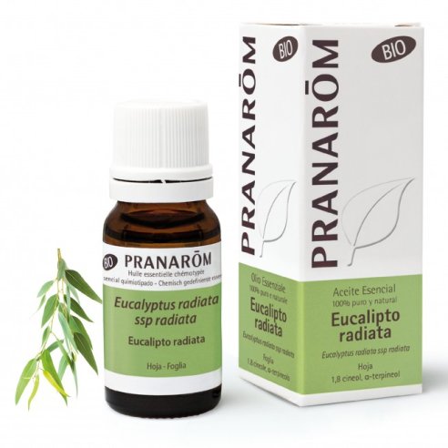 PRANAROM ACEITE ESENCIAL EUCALIPTO RADIATA 10 ML