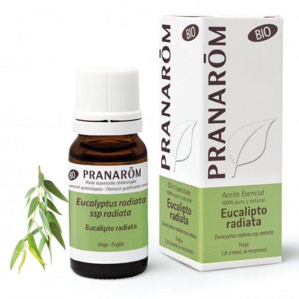 PRANAROM ACEITE ESENCIAL EUCALIPTO RADIATA 10 ML